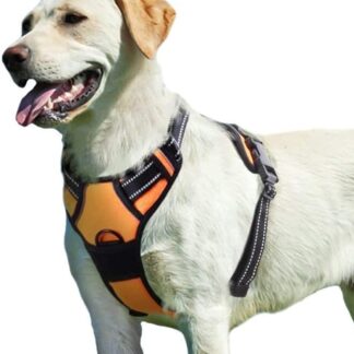 Eagloo Dog Harness for Large Dogs