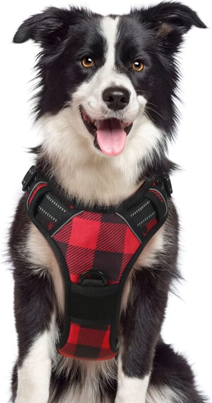 Rabbitgoo Dog Harness for Large Dogs